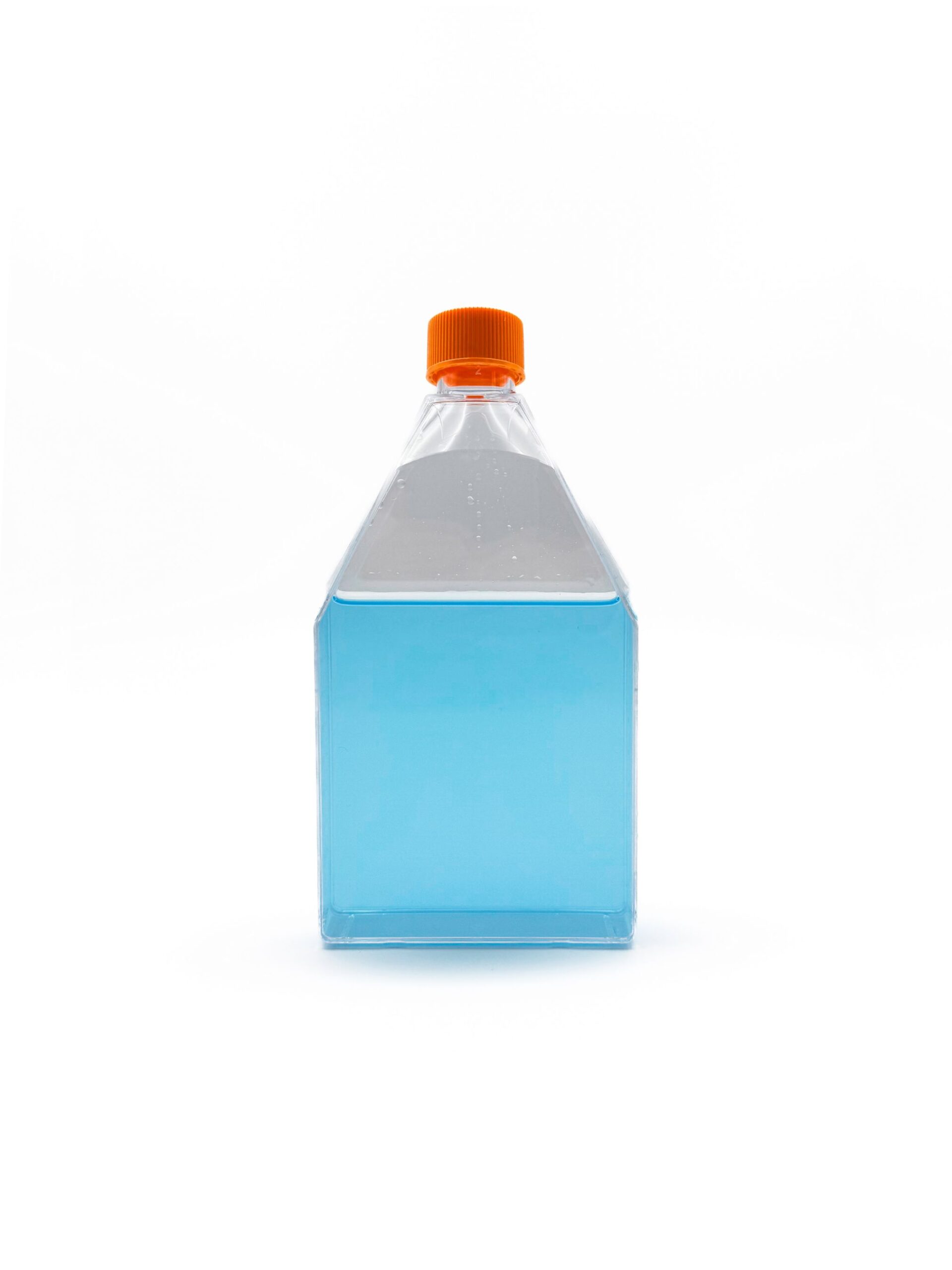 Flask-175cmsq-600ml-A-min