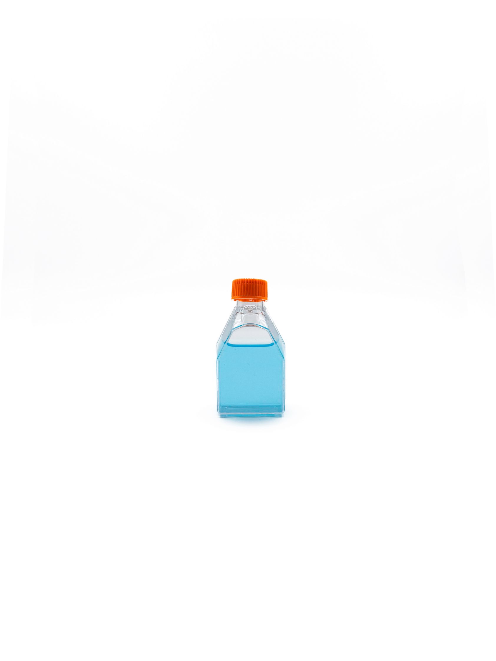 Flask-25cmsq-50ml-A-min