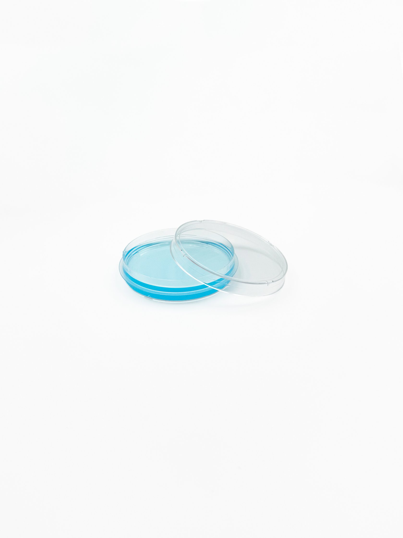Petri-Dish-B-min