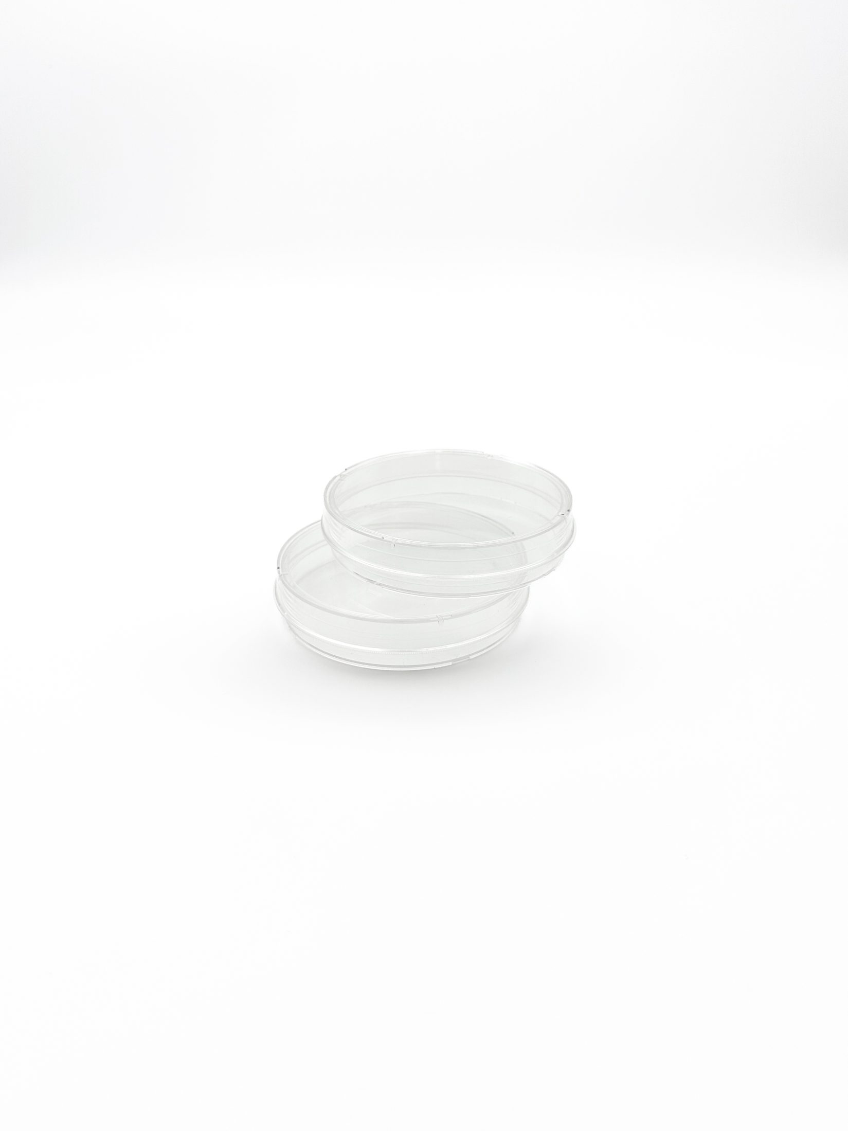 Petri-Dish-D-min